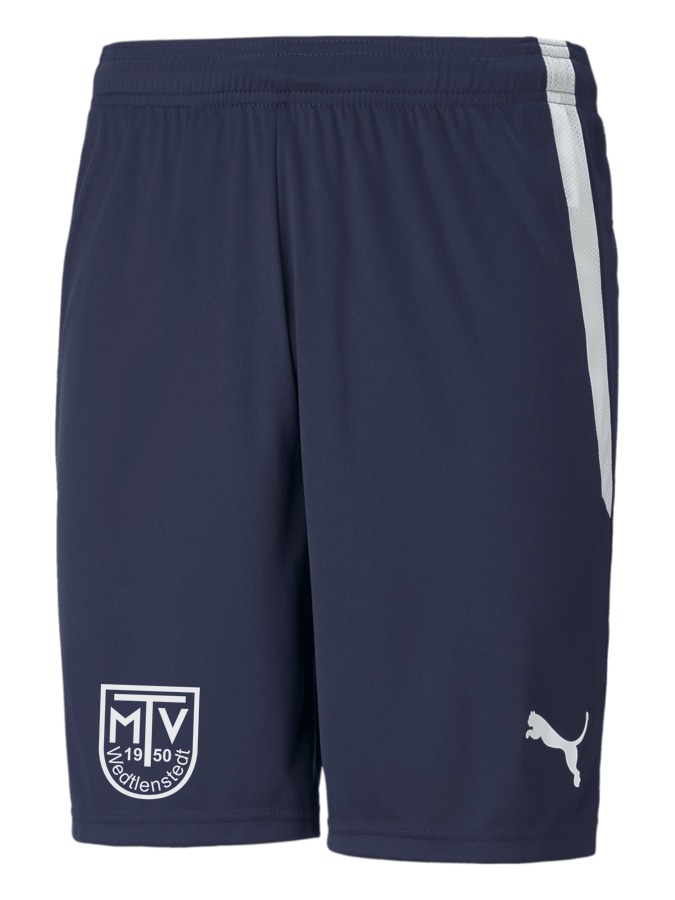 PUMA teamLIGA Shorts