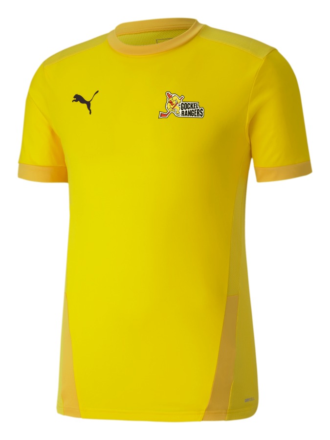 PUMA teamGOAL 23 Trikot