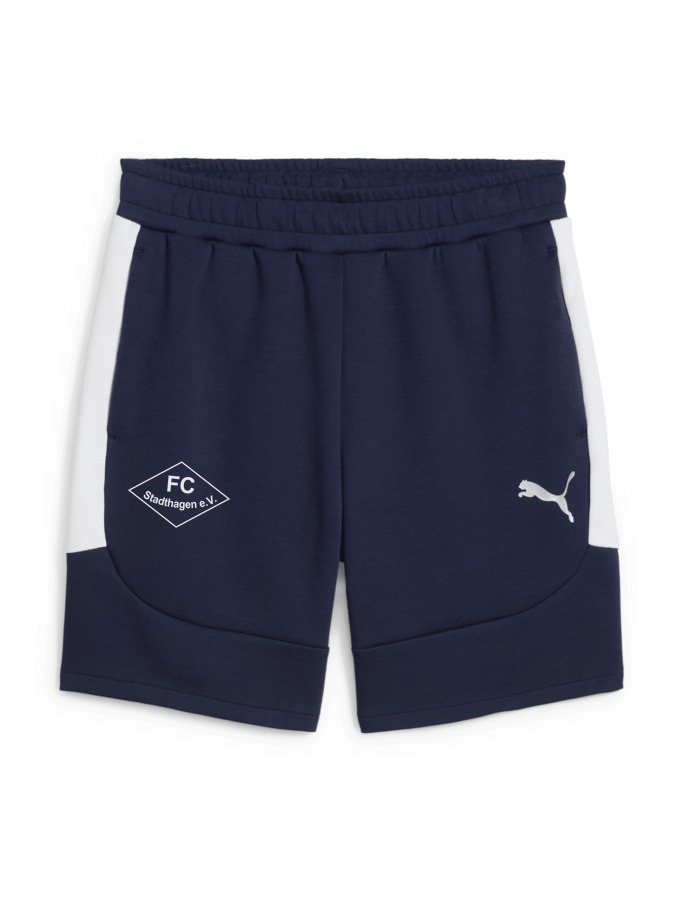 PUMA teamEVOSTRIPE Shorts