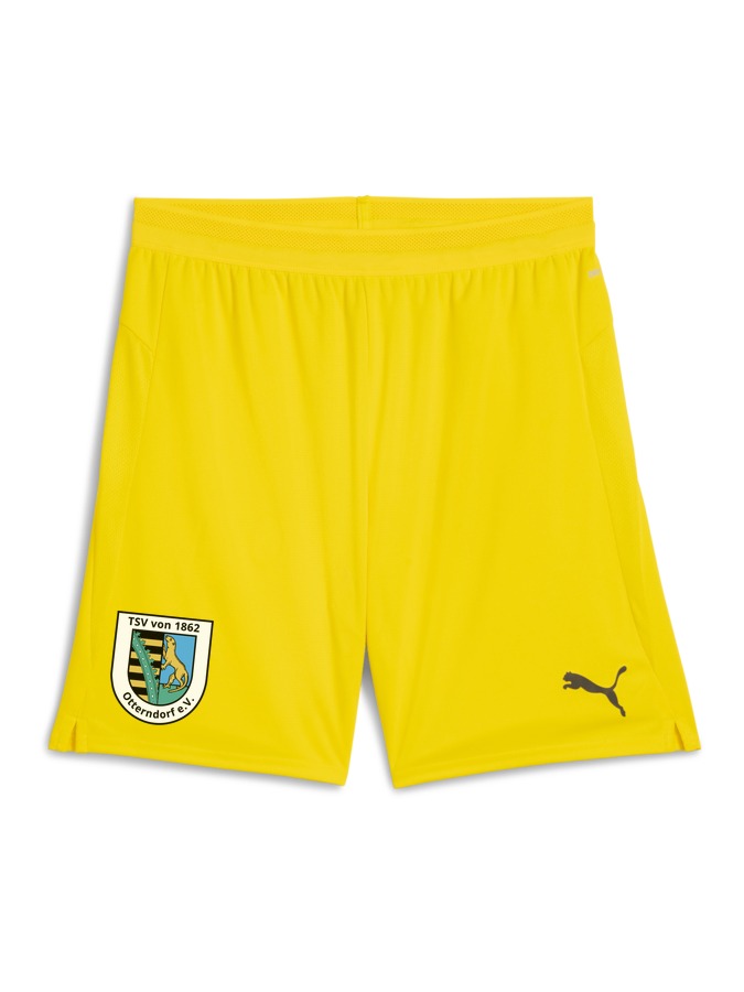 PUMA teamCUP Shorts