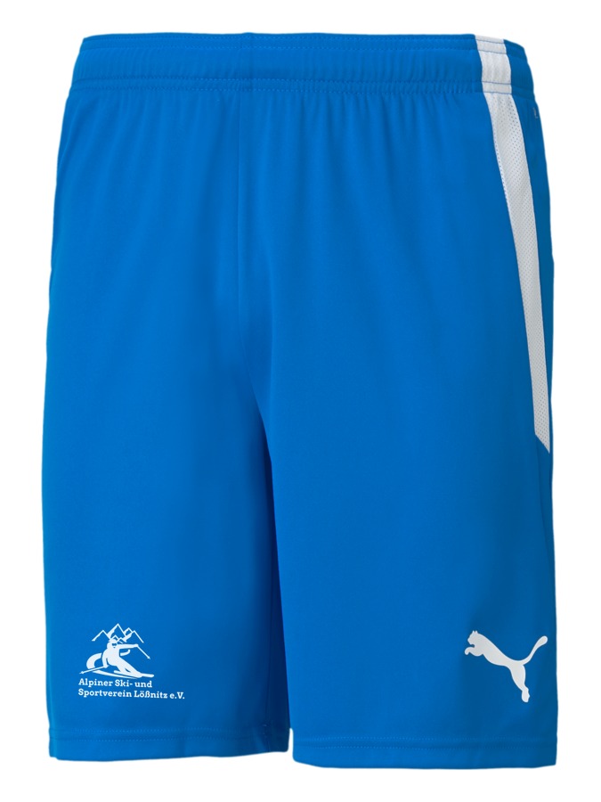 PUMA teamLIGA Shorts