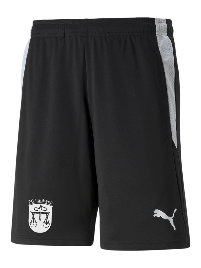 PUMA teamLIGA Referee Shorts