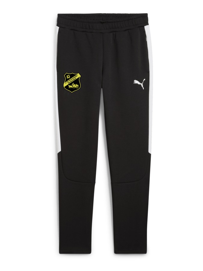PUMA teamEVOSTRIPE Hose