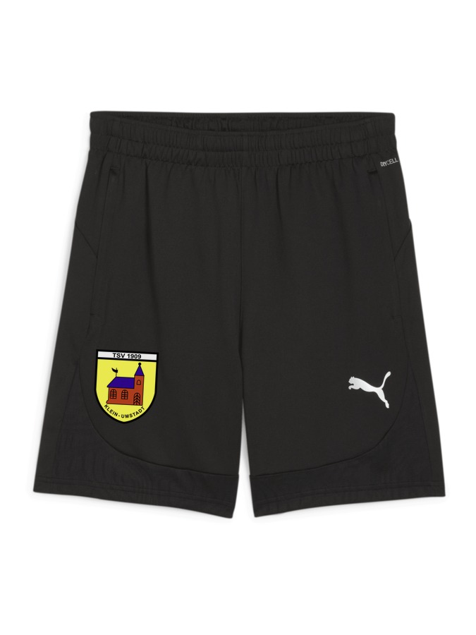 PUMA teamFINAL Training Shorts