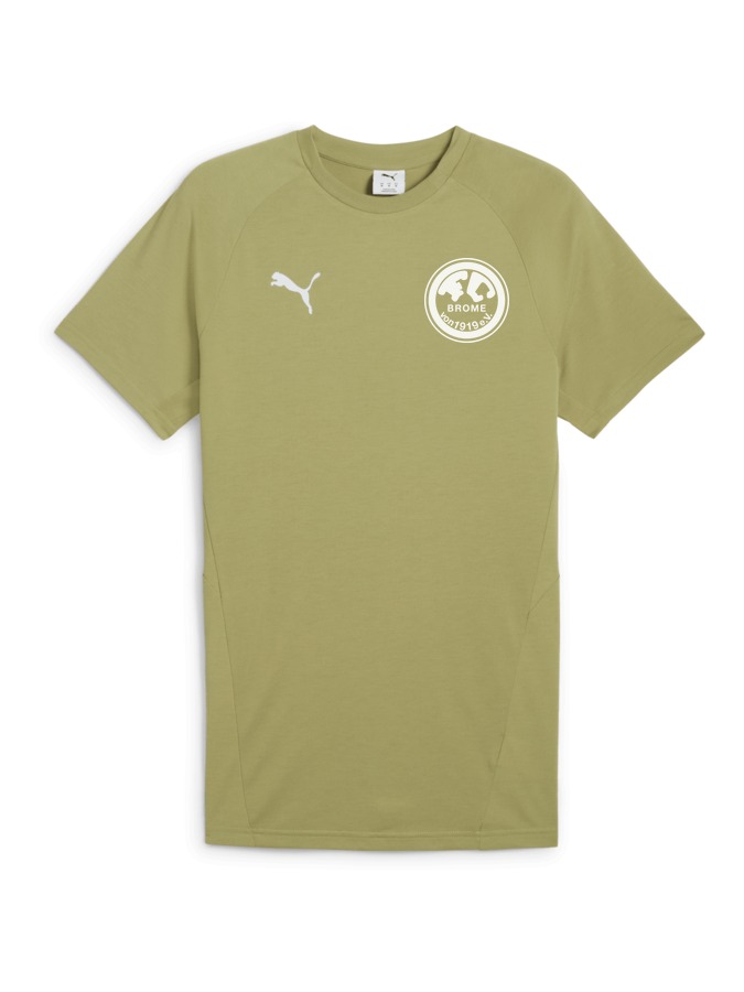 PUMA teamEVOSTRIPE T-Shirt