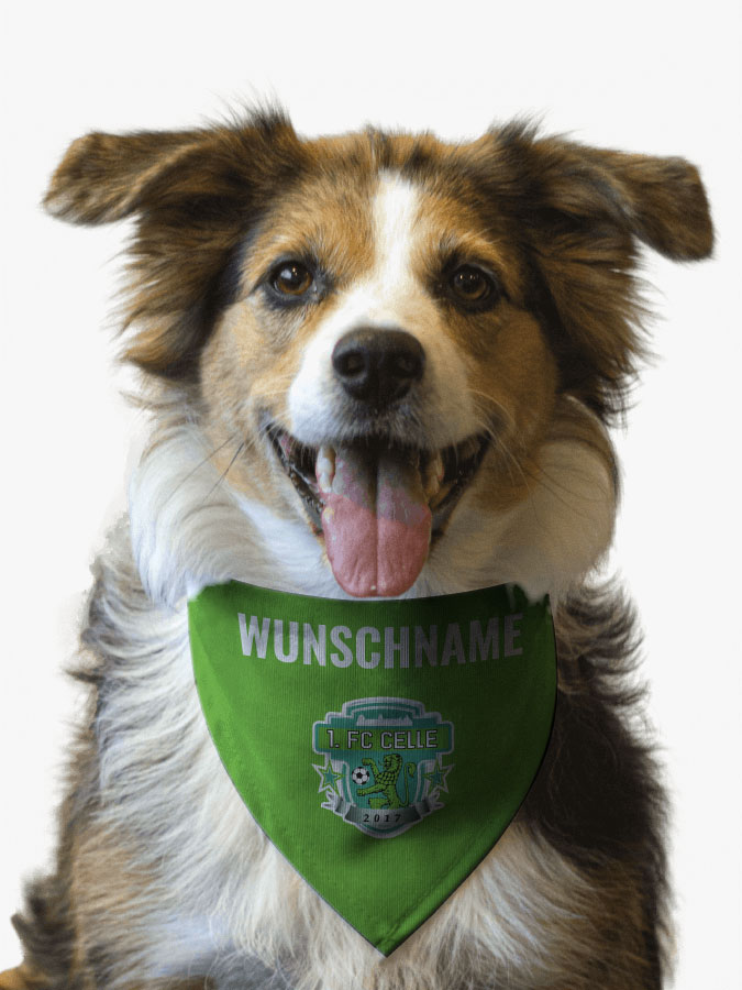 Hundehalstuch
