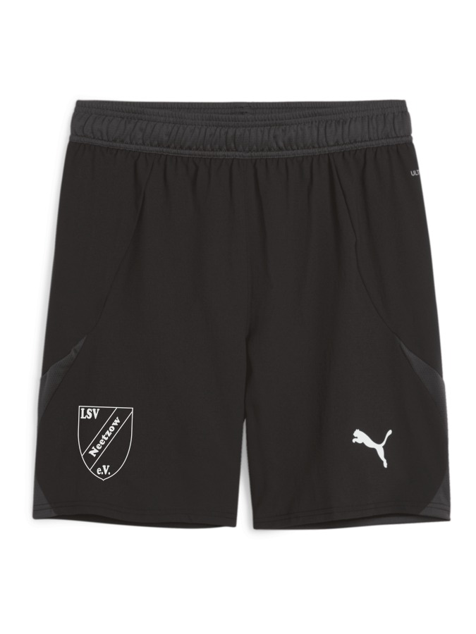 PUMA teamFINAL Shorts