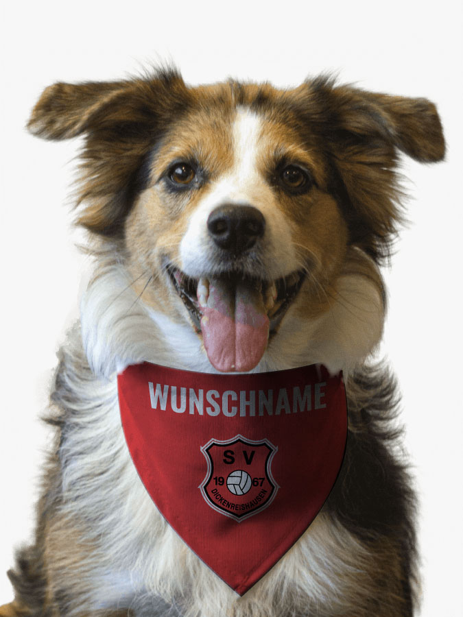 Hundehalstuch