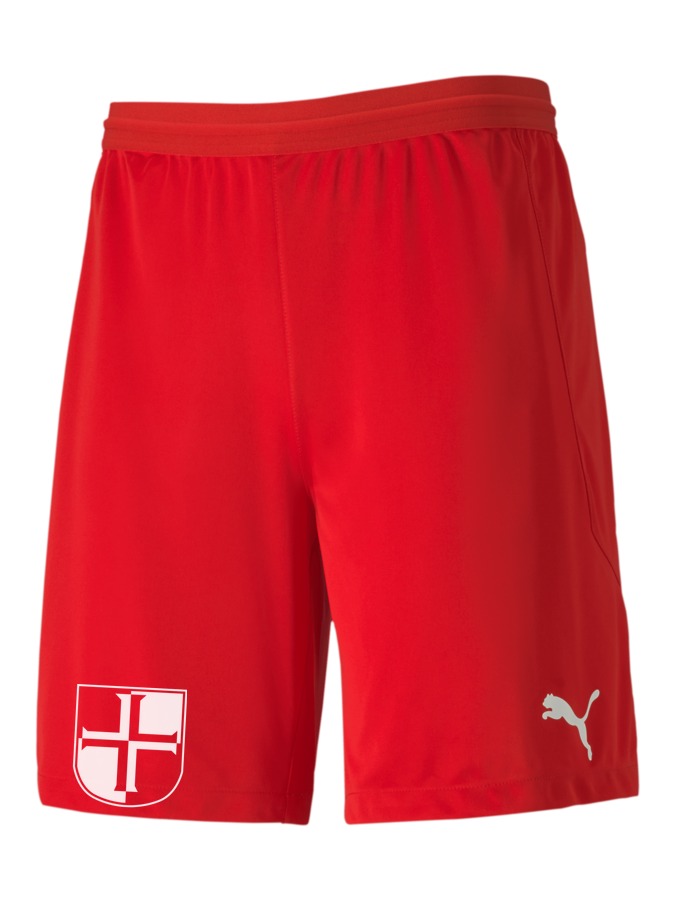 PUMA teamFINAL 21 Knit Shorts
