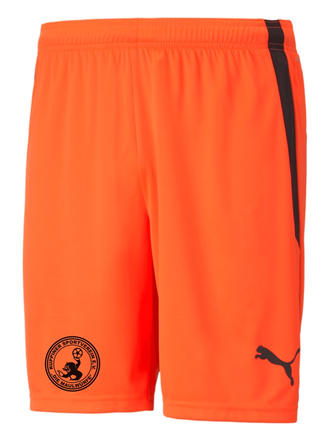 PUMA teamLIGA Shorts