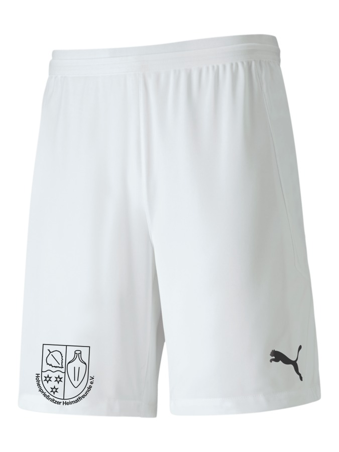 PUMA teamFINAL 21 Knit Shorts