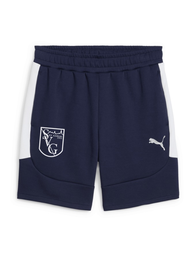 PUMA teamEVOSTRIPE Shorts