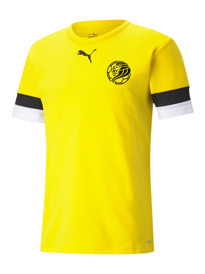 PUMA teamRISE Trikot