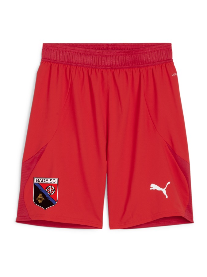 PUMA teamFINAL Shorts