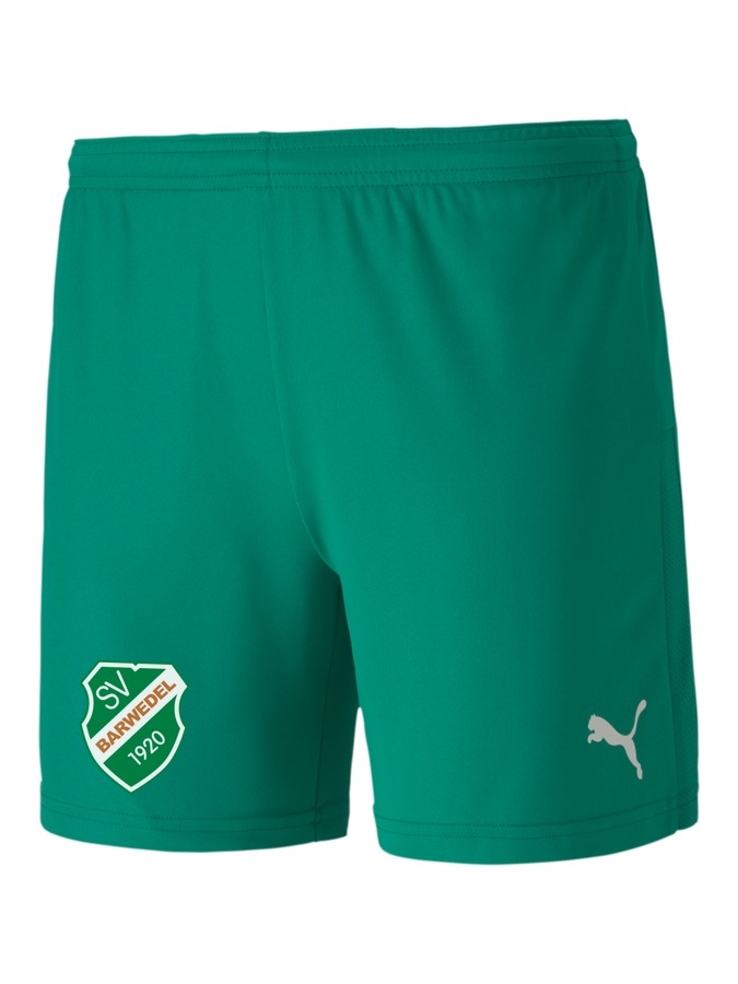 PUMA teamGOAL 23 Knit Shorts Damen