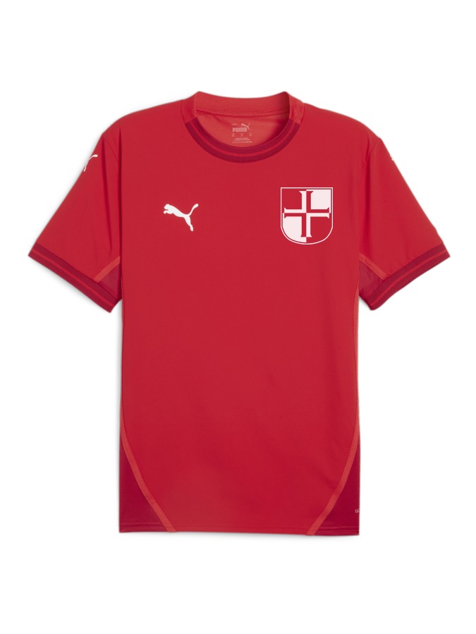 PUMA teamFINAL Trikot