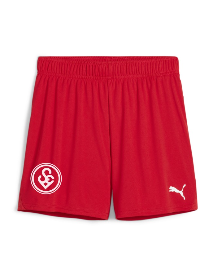 PUMA teamGOAL Handballshorts Damen