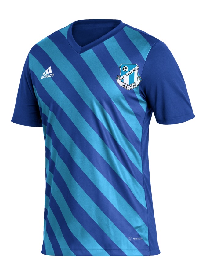 adidas Entrada 22 GFX Trikot
