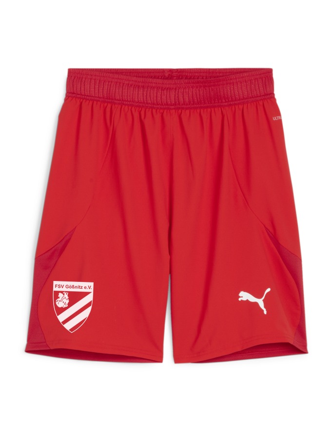 PUMA teamFINAL Shorts
