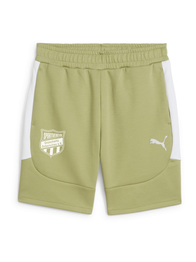 PUMA teamEVOSTRIPE Shorts