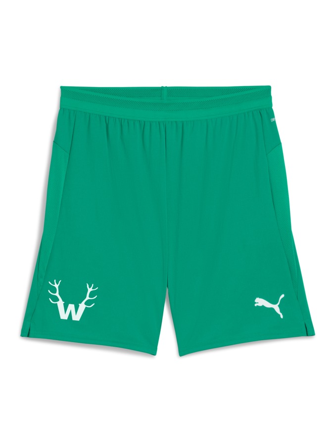 PUMA teamCUP Shorts