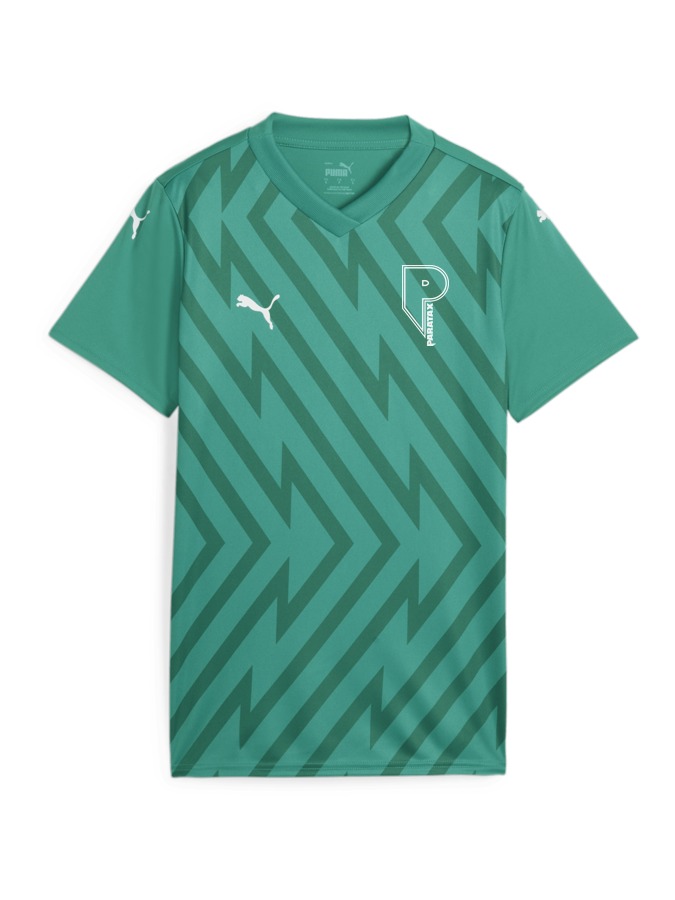 PUMA teamGLORY Trikot Damen