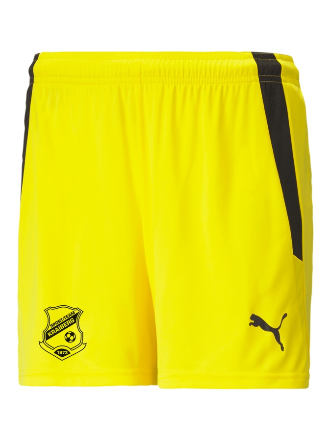 PUMA teamLIGA Shorts Damen