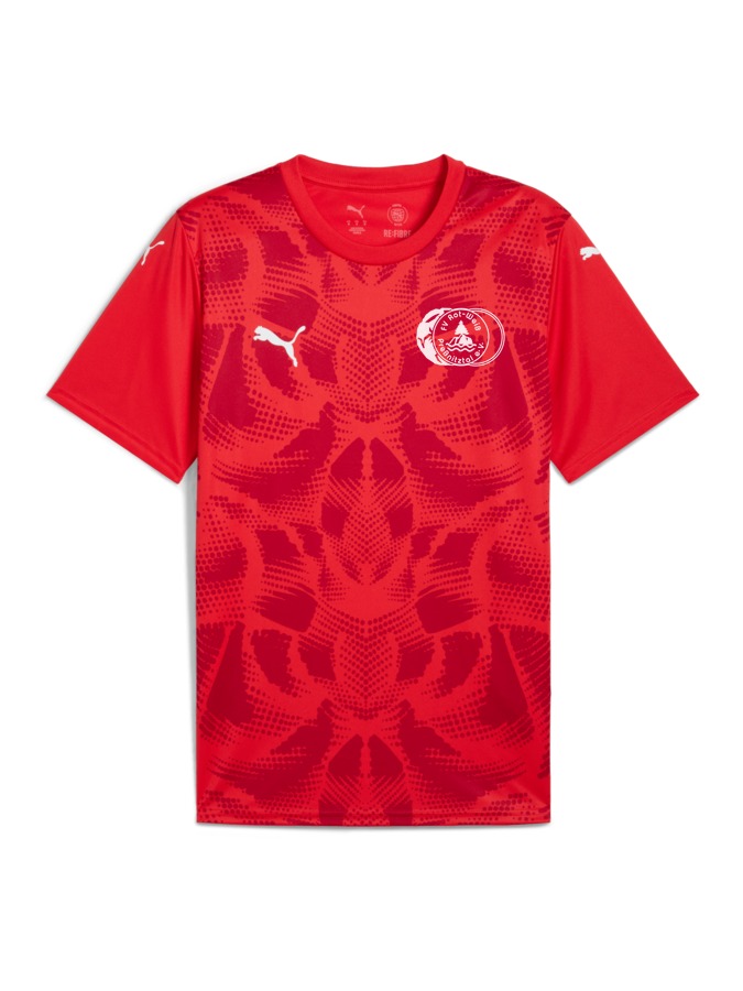 PUMA teamULTIMATE Trikot