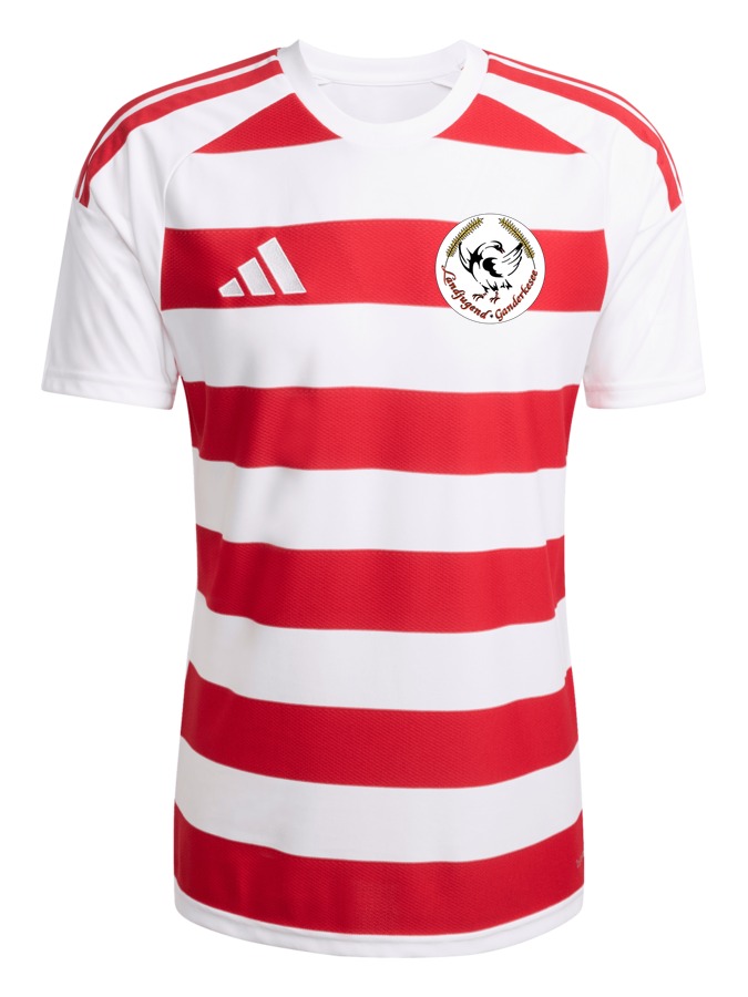 adidas Hooped 26 Trikot