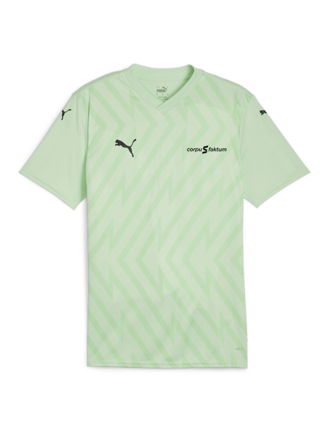 PUMA teamGLORY Trikot