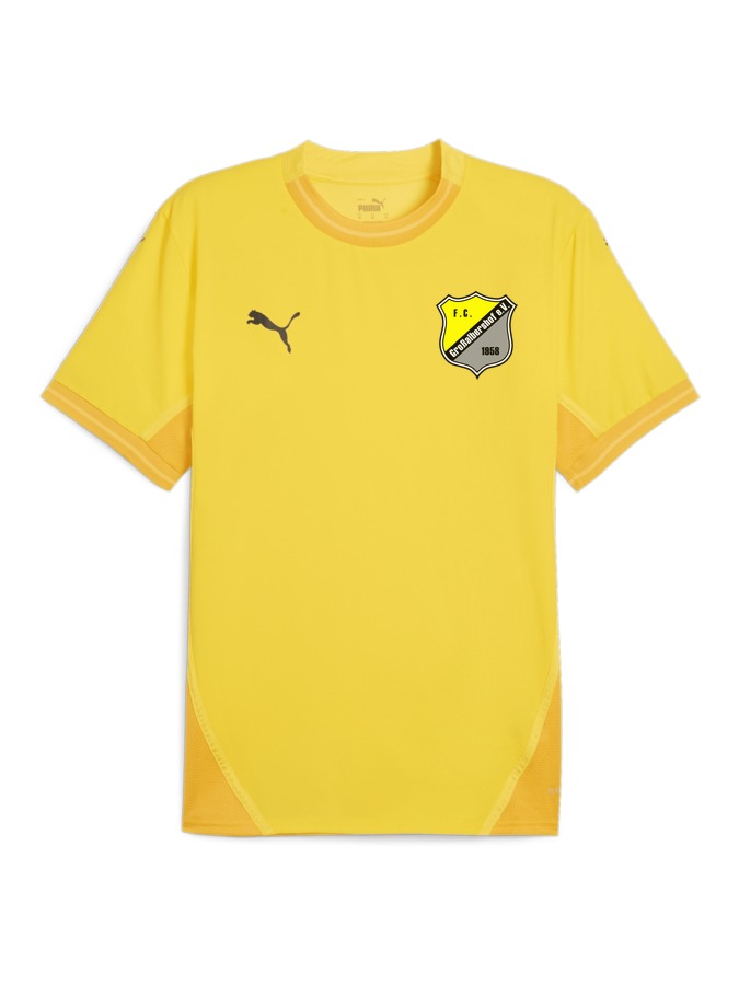 PUMA teamFINAL Trikot