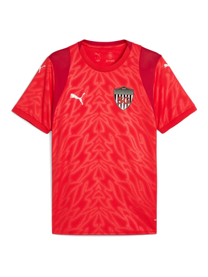 PUMA teamCUP Trikot
