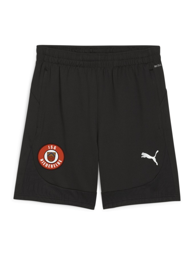 PUMA teamFINAL Training Shorts