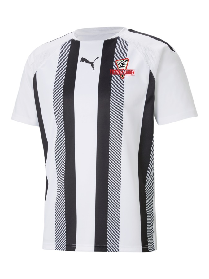 PUMA teamLIGA Striped Trikot