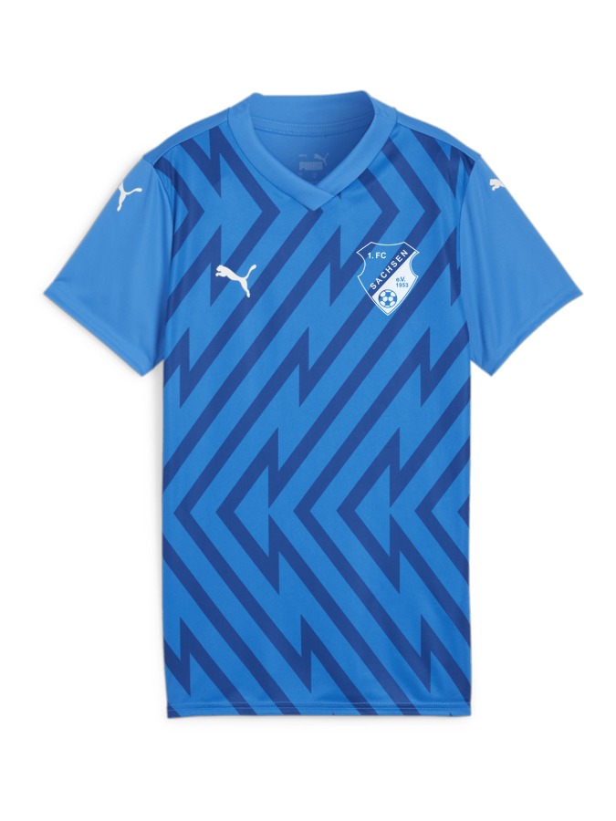 PUMA teamGLORY Trikot Damen