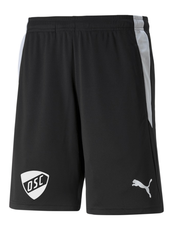 PUMA teamLIGA Referee Shorts