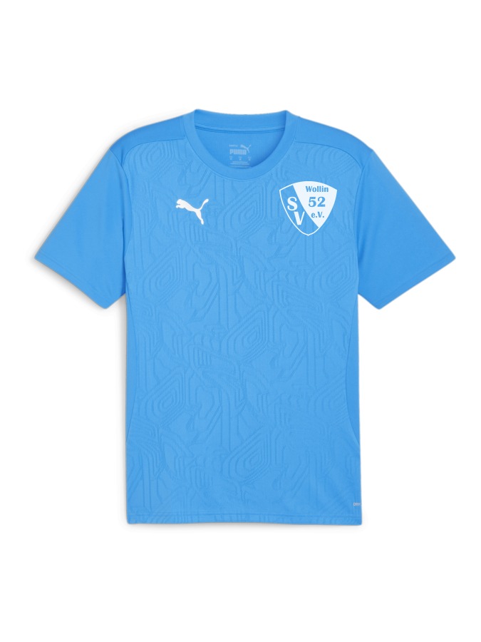 PUMA teamFINAL Trainingsshirt