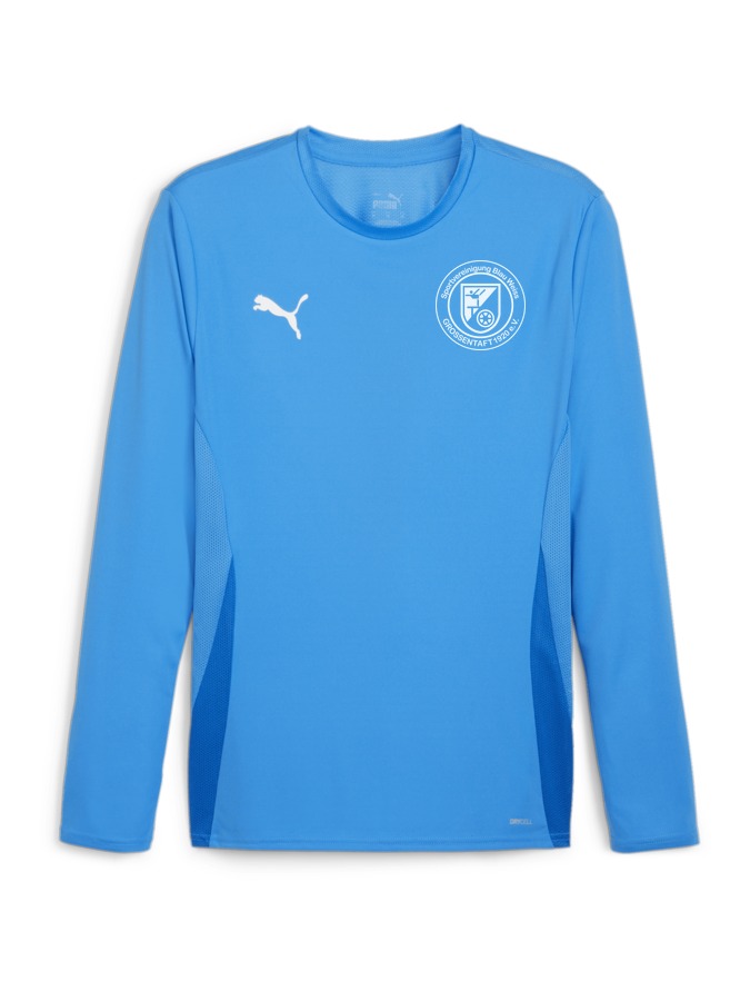 PUMA teamGOAL Longsleeve Trikot
