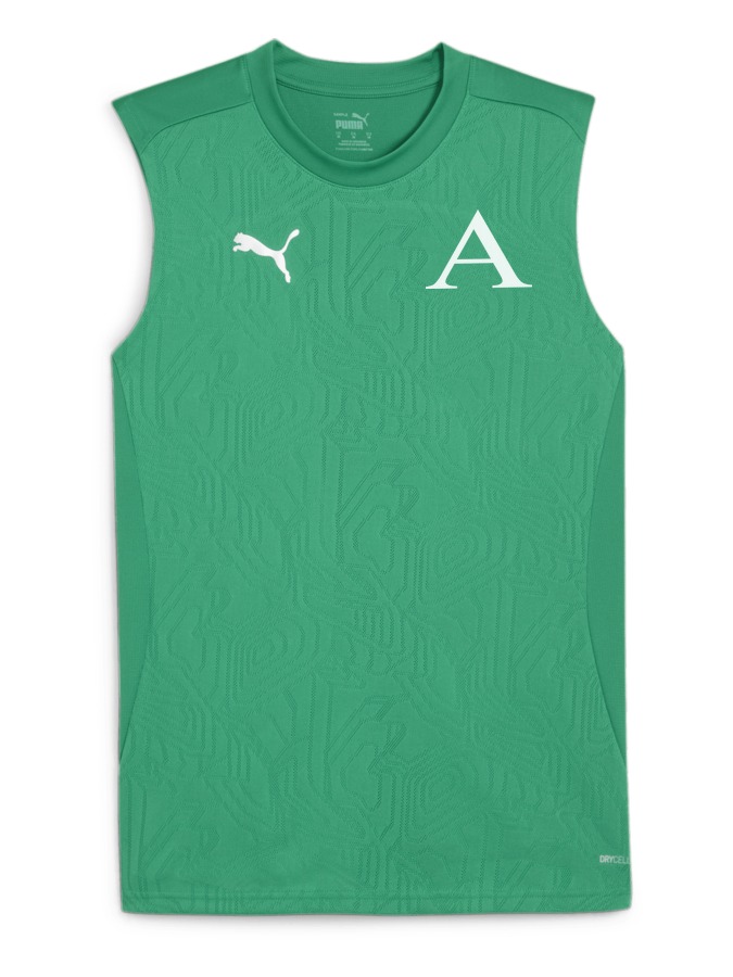 PUMA teamFINAL Trainingstanktop