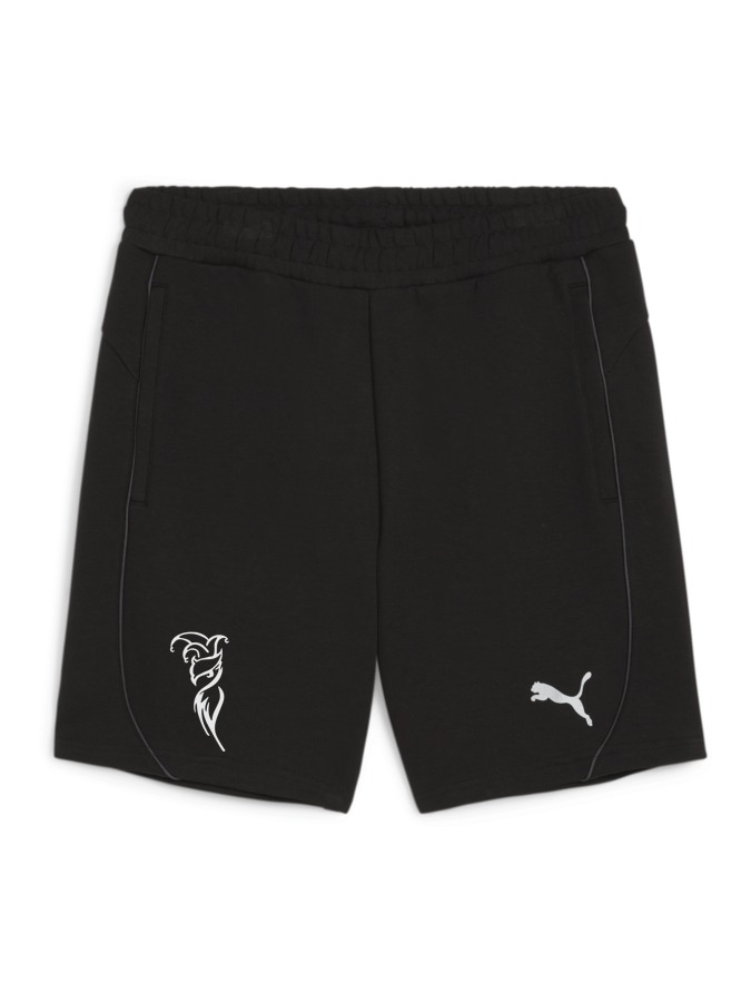 PUMA teamFINAL Casuals Shorts