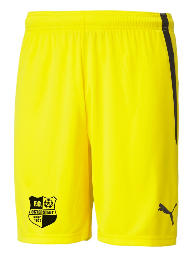 PUMA teamLIGA Shorts