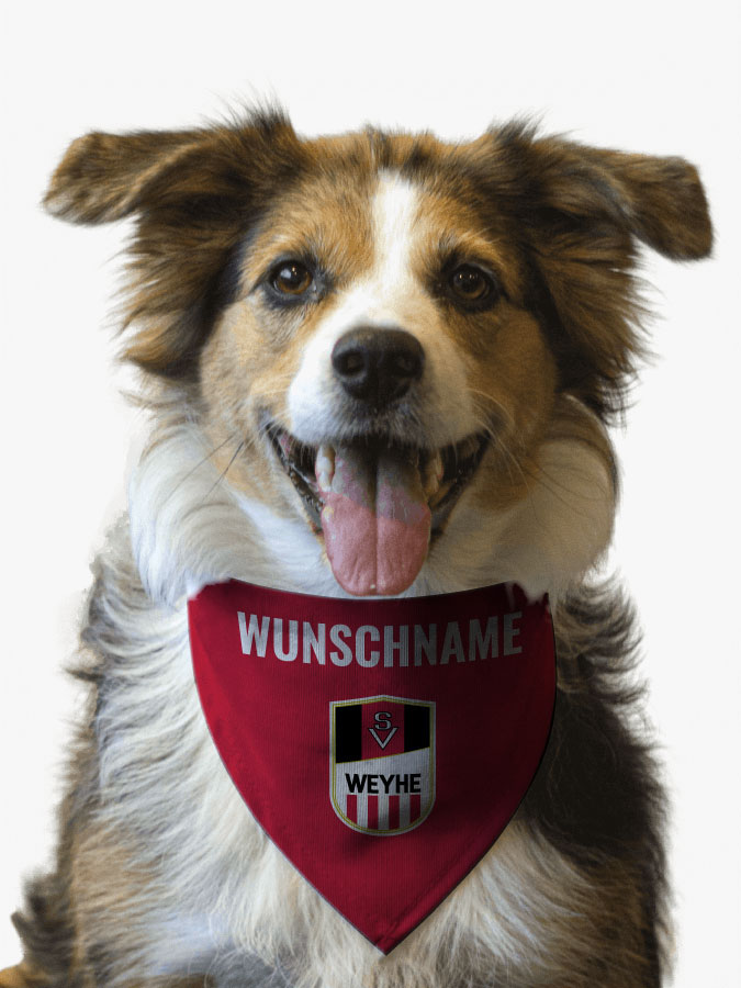 Hundehalstuch