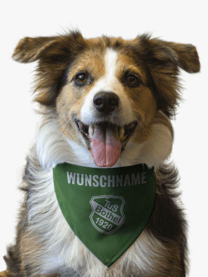 Hundehalstuch