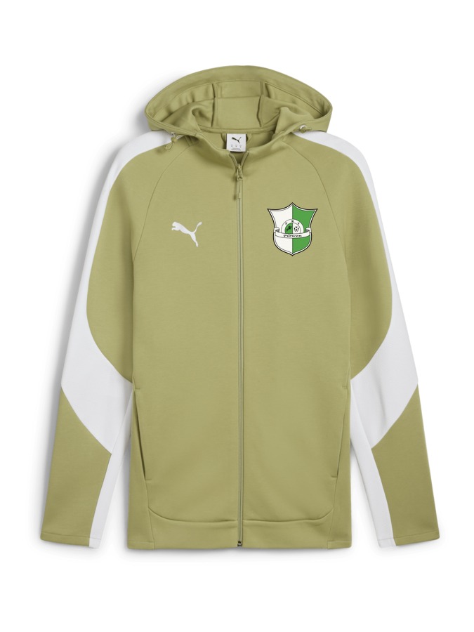 PUMA teamEVOSTRIPE Kapuzenjacke