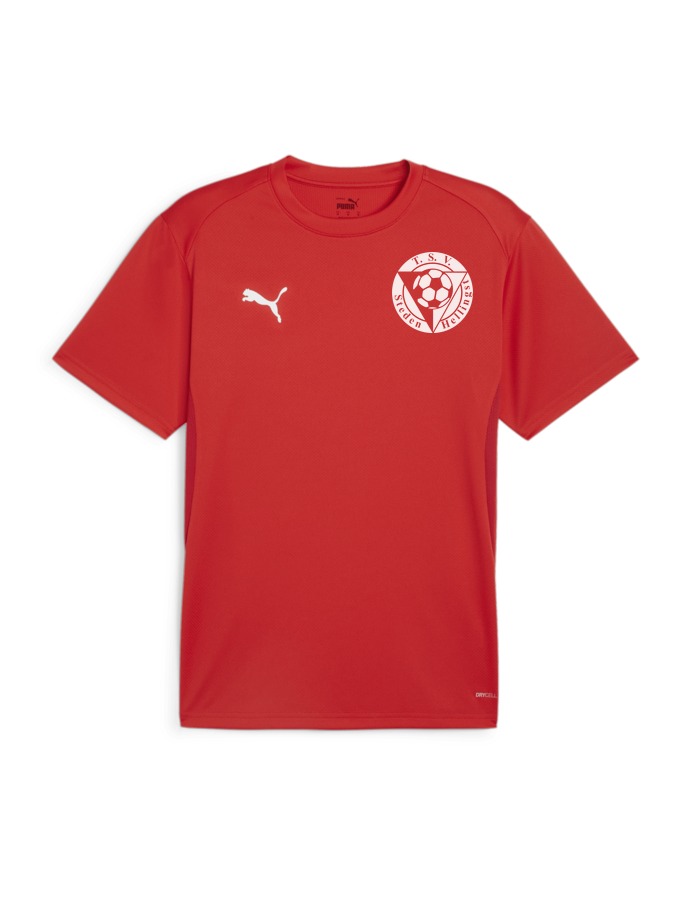 PUMA teamGOAL Trikot