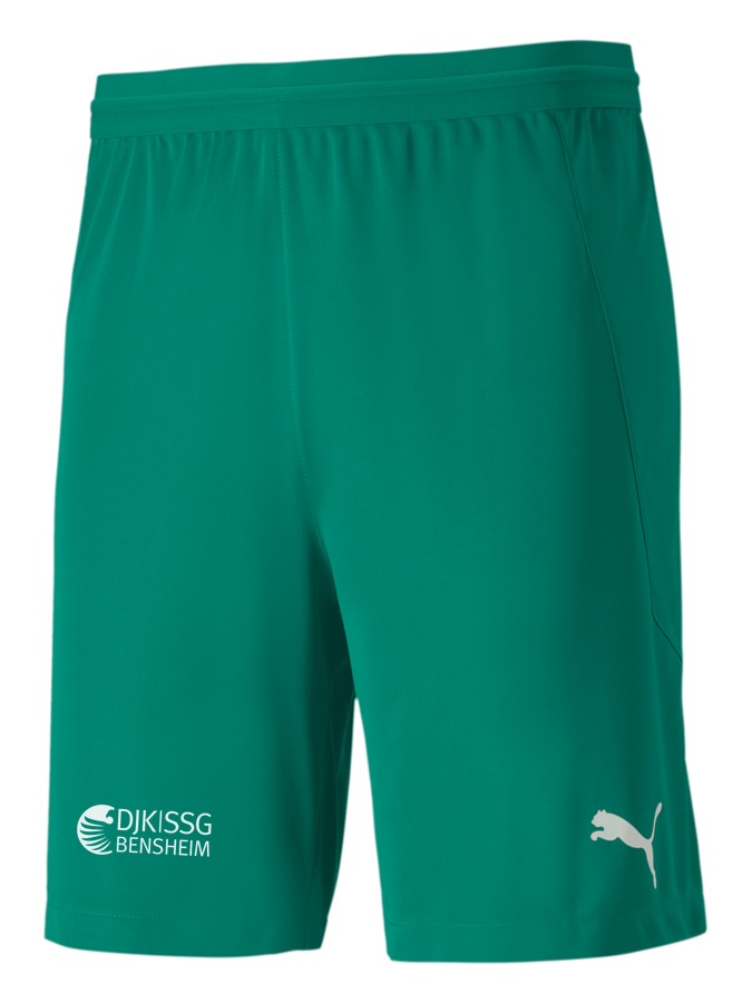 PUMA teamFINAL 21 Knit Shorts