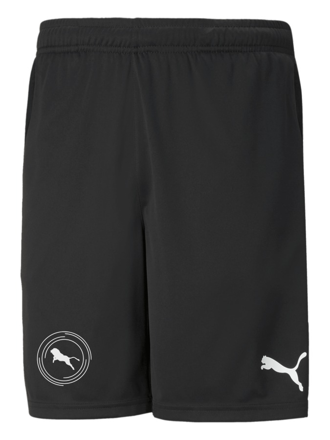 PUMA teamRISE Training Shorts