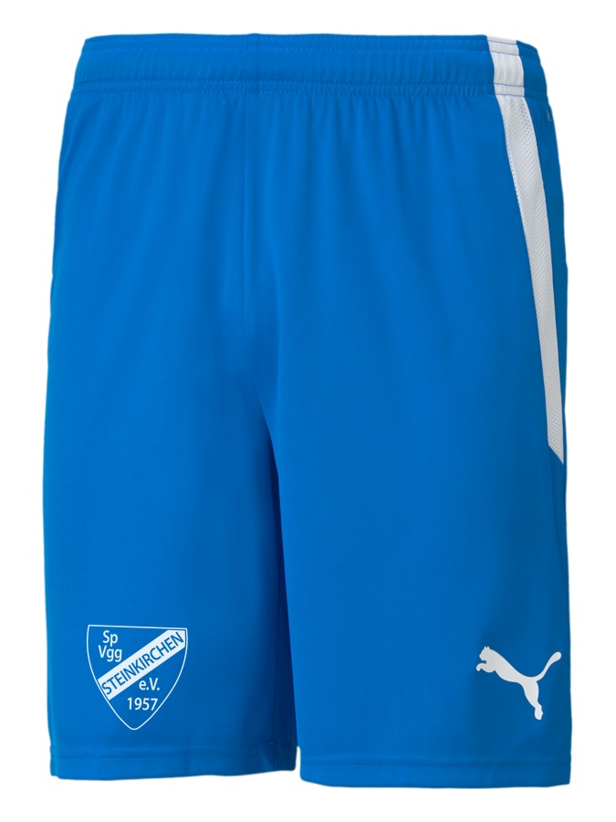 PUMA teamLIGA Shorts