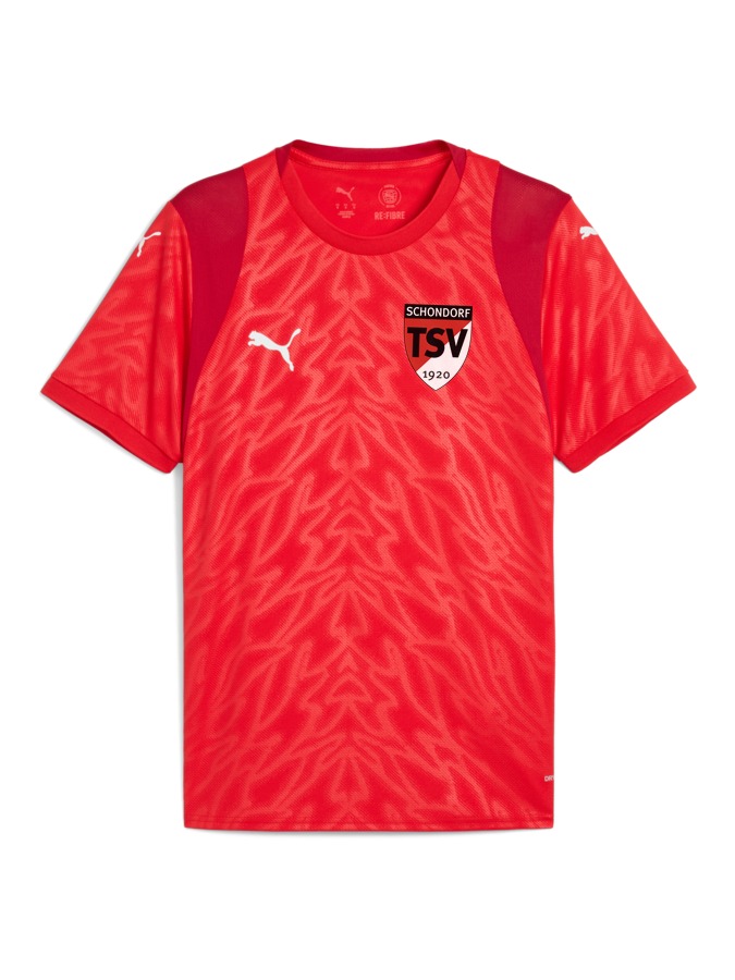 PUMA teamCUP Trikot