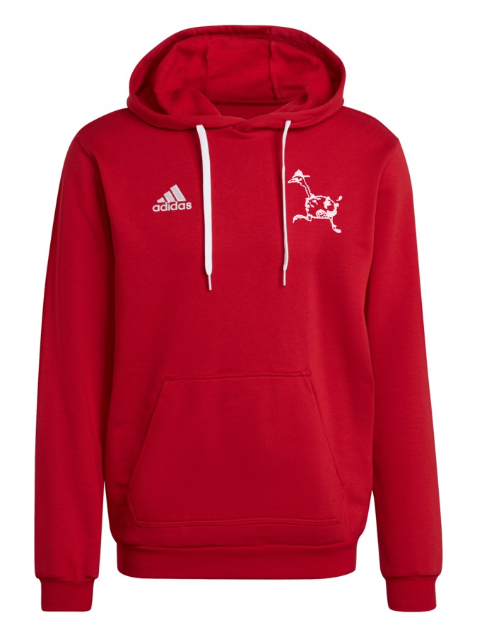 adidas Entrada 22 Hoodie